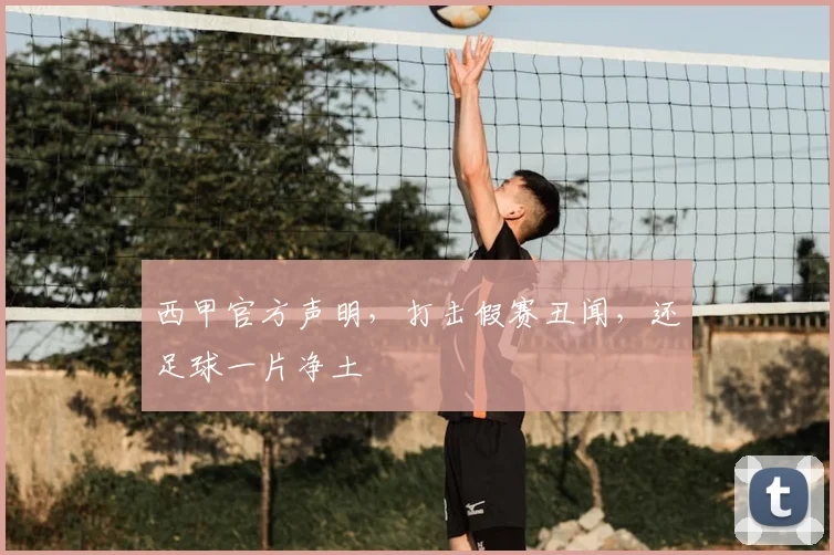 西甲官方声明,打击假赛丑闻,还足球一片净土