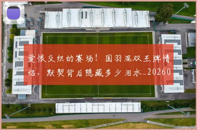 爱恨交织的赛场！国羽混双王牌情侣，默契背后隐藏多少泪水_20260802155726