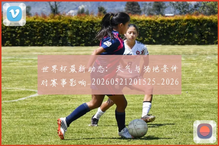 世界杯最新动态：天气与场地条件对赛事影响_20260521201525_20260702174023