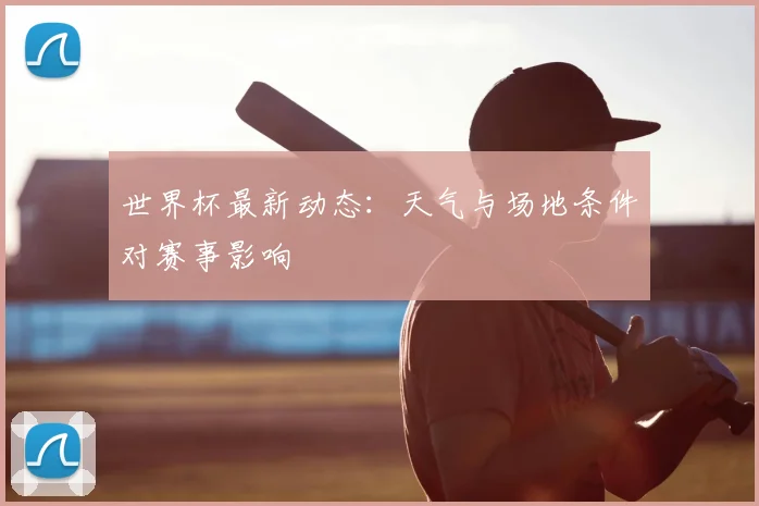 世界杯最新动态:天气与场地条件对赛事影响