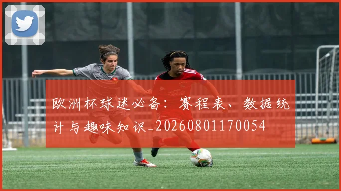 欧洲杯球迷必备:赛程表、数据统计与趣味知识_20260801170054