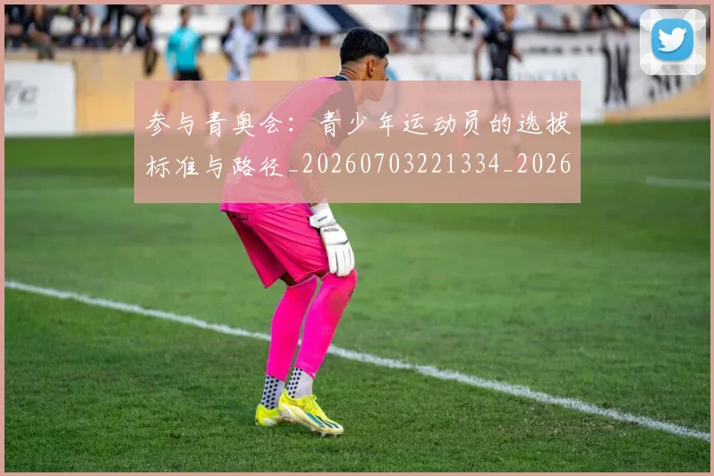 参与青奥会：青少年运动员的选拔标准与路径_20260703221334_20260718205204